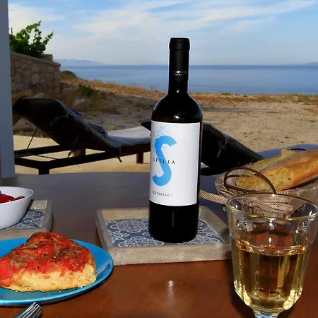 Prázdninový dům Aegean Blue Mandrakia